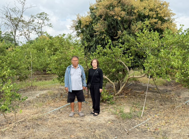 ตรวจเยี่ยมแนะนำส่งเสริมกลุ่มเกษตรกรทำนาบ้านกร่าง พารามิเตอร์รูปภาพ 7