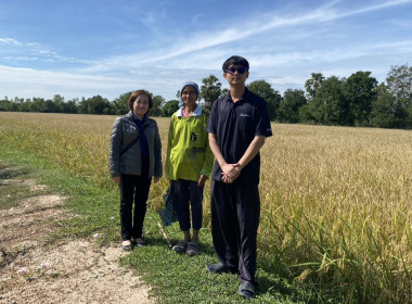 ตรวจเยี่ยมแนะนำส่งเสริมกลุ่มเกษตรกรทำนาหนองราชวัตร ... พารามิเตอร์รูปภาพ 4