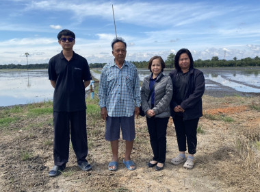 ตรวจเยี่ยมแนะนำส่งเสริมกลุ่มเกษตรกรทำนาหนองราชวัตร ... พารามิเตอร์รูปภาพ 8