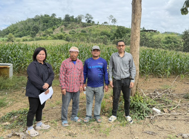 ตรวจเยี่ยมแนะนำส่งเสริมกลุ่มเกษตรกรเลี้ยงสัตว์ตำบลวังยาว ... พารามิเตอร์รูปภาพ 3