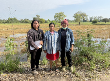 ตรวจเยี่ยมแนะนำส่งเสริมกลุ่มเกษตรกรทำไร่สระกระโจม ... พารามิเตอร์รูปภาพ 1