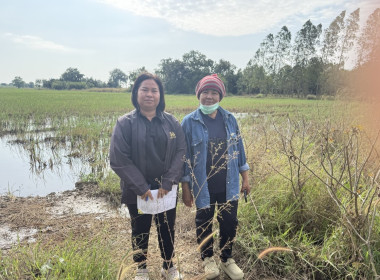ตรวจเยี่ยมแนะนำส่งเสริมกลุ่มเกษตรกรทำไร่สระกระโจม ... พารามิเตอร์รูปภาพ 3
