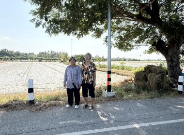 ตรวจเยี่ยมแนะนำส่งเสริมกลุ่มเกษตรกรทำไร่สระกระโจม ... พารามิเตอร์รูปภาพ 6