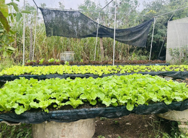 ร่วมประชุมเชื่อมโยงการดำเนินงานคณะกรรมการเครือข่าย ศพก. ... พารามิเตอร์รูปภาพ 8