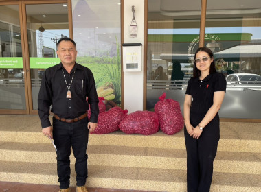 ร่วมรับมอบหอมแดงของสมาชิกสหกรณ์และกลุ่มเกษตรกรในจังหวัดศรีสะเกษ ... พารามิเตอร์รูปภาพ 7
