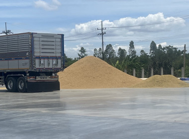 ตรวจเยี่ยมแนะนำส่งเสริมสหกรณ์ผู้ใช้น้ำศรีสำราญ จำกัด พารามิเตอร์รูปภาพ 2