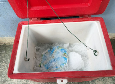 ร่วมตรวจสอบการบริหารจัดการคุณภาพผลิตภัณฑ์นมแปรรูปที่โรงเรียน พารามิเตอร์รูปภาพ 6