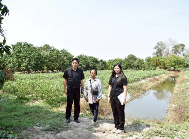 ลงพื้นที่ตรวจเยี่ยมแนะนำส่งเสริมสมาชิกของสหกรณ์การเกษตรสามชุก จำกัด ... พารามิเตอร์รูปภาพ 2