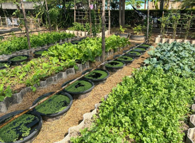 ลงพื้นที่ตรวจเยี่ยมแนะนำส่งเสริมสมาชิกของสหกรณ์การเกษตรสามชุก จำกัด ... พารามิเตอร์รูปภาพ 6