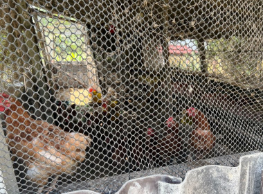 ลงพื้นที่ตรวจเยี่ยมแนะนำส่งเสริมสมาชิกของสหกรณ์การเกษตรสามชุก จำกัด ... พารามิเตอร์รูปภาพ 8