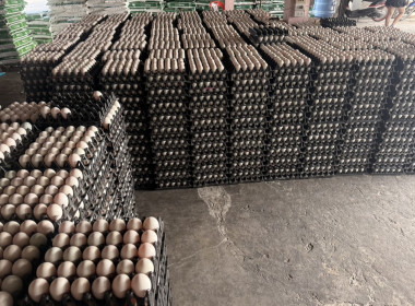 ร่วมโครงการสหกรณ์ รัฐ คนละครึ่ง พึ่งพิงกัน หลักสูตร ... พารามิเตอร์รูปภาพ 4