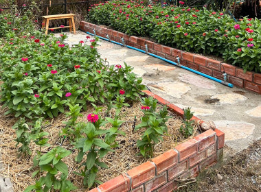 ตรวจเยี่ยมผู้สมัครเข้าร่วมโครงการนำลูกหลานเกษตรกรกลับบ้านสานต่ออาชีพการเกษตร ... พารามิเตอร์รูปภาพ 6