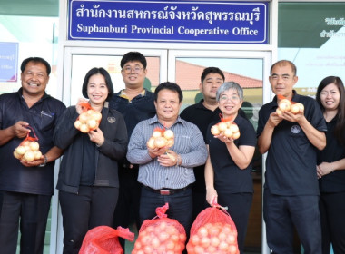 ร่วมรับมอบและกระจายหอมหัวใหญ่จังหวัดเชียงใหม่ พารามิเตอร์รูปภาพ 2