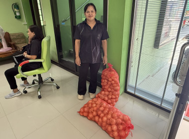 ร่วมรับมอบและกระจายหอมหัวใหญ่จังหวัดเชียงใหม่ พารามิเตอร์รูปภาพ 4