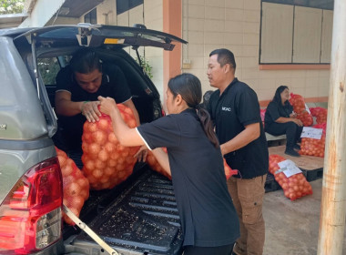 ร่วมรับมอบและกระจายหอมหัวใหญ่จังหวัดเชียงใหม่ พารามิเตอร์รูปภาพ 6