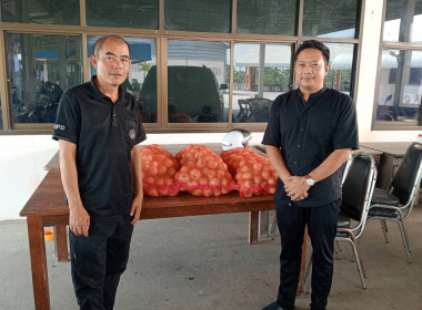 ร่วมรับมอบและกระจายหอมหัวใหญ่จังหวัดเชียงใหม่ พารามิเตอร์รูปภาพ 7