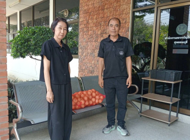 ร่วมรับมอบและกระจายหอมหัวใหญ่จังหวัดเชียงใหม่ พารามิเตอร์รูปภาพ 9