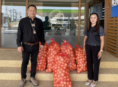 ร่วมรับมอบและกระจายหอมหัวใหญ่จังหวัดเชียงใหม่ พารามิเตอร์รูปภาพ 10