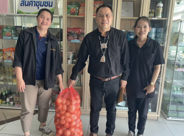 ร่วมรับมอบและกระจายหอมหัวใหญ่จังหวัดเชียงใหม่ พารามิเตอร์รูปภาพ 11