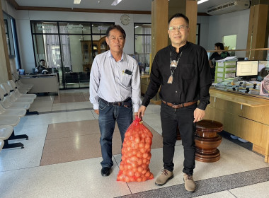 ร่วมรับมอบและกระจายหอมหัวใหญ่จังหวัดเชียงใหม่ พารามิเตอร์รูปภาพ 13