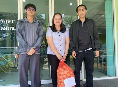 ร่วมรับมอบและกระจายหอมหัวใหญ่จังหวัดเชียงใหม่ พารามิเตอร์รูปภาพ 15