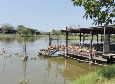 ตรวจเยี่ยมแนะนำส่งเสริมสหกรณ์การเกษตรบางปลาม้า จำกัด พารามิเตอร์รูปภาพ 7