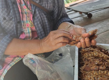 ตรวจเยี่ยมแนะนำส่งเสริมสหกรณ์การเกษตรบางปลาม้า จำกัด พารามิเตอร์รูปภาพ 15