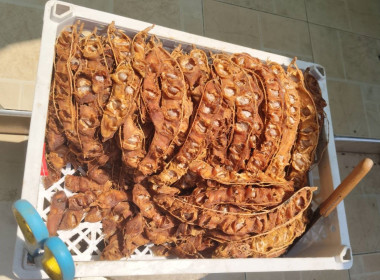 ตรวจเยี่ยมแนะนำส่งเสริมสหกรณ์การเกษตรบางปลาม้า จำกัด พารามิเตอร์รูปภาพ 16