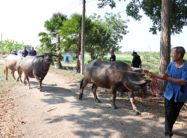 ร่วมเป็นเกียรติในพิธีเปิดและร่วมจัดนิทรรศการโครงการคลินิกเกษตรเคลื่อนที่ในพระราชานุเคราะห์ฯ ... พารามิเตอร์รูปภาพ 27