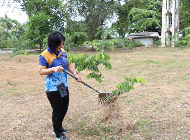 จัดกิจกรรม Big Cleaning Day ปรับปรุงภูมิทัศน์ พารามิเตอร์รูปภาพ 5