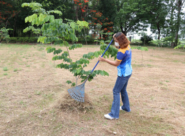 จัดกิจกรรม Big Cleaning Day ปรับปรุงภูมิทัศน์ พารามิเตอร์รูปภาพ 11