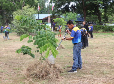 จัดกิจกรรม Big Cleaning Day ปรับปรุงภูมิทัศน์ พารามิเตอร์รูปภาพ 12