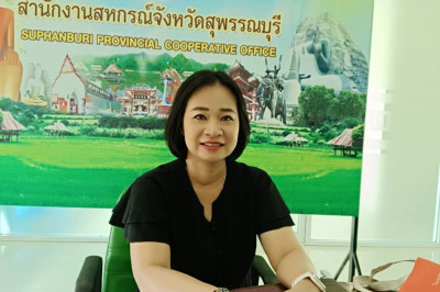 ร่วมประชุมชี้แจงการสำรวจข้อมูล (ปุ๋ยเคมี ปุ๋ยอินทรีย์ ... พารามิเตอร์รูปภาพ 1