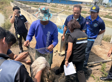 ตรวจเยี่ยมแนะนำส่งเสริมสหกรณ์ผู้เพาะเลี้ยงสัตว์น้ำและการเกษตรสุพรรณบุรี จำกัด ... พารามิเตอร์รูปภาพ 3