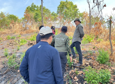 ลงพื้นที่ตรวจสอบการลักลอบตัดไม้ และเผาป่า ... พารามิเตอร์รูปภาพ 3