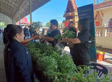 ร่วมจัดนิทรรศการโครงการสุพรรณบุรีรวมใจ บริการเคลื่อนที่ ... พารามิเตอร์รูปภาพ 7