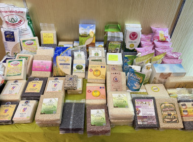 ร่วมอบรมโครงการส่งเสริมและพัฒนาข้าวคุณภาพสูงเพื่อเพิ่มรายได้เกษตรกร ปี 2569 (ข้าวประณีต) ... พารามิเตอร์รูปภาพ 4