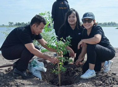 ร่วมโครงการ “ร้อยพฤกษา ร้อยความดีทุกหมู่บ้านสุพรรณบุรี” พารามิเตอร์รูปภาพ 5