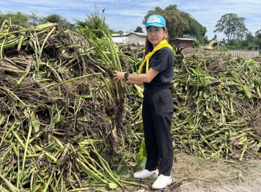 ร่วมกิจกรรมอาสาพัฒนาเนื่องในโอกาสวันสำคัญของชาติไทย ... พารามิเตอร์รูปภาพ 4