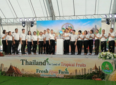ร่วมพิธีเปิดงานแสดงและจำหน่ายสินค้าผลไม้ “Thailand : The ... พารามิเตอร์รูปภาพ 4