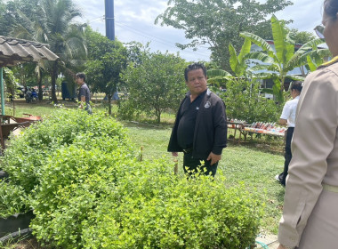 ลงพื้นที่ติดตามผลการดำเนินงานและสนับสนุนการดำเนินงานโครงการขยายผลเกษตรเพื่ออาหารกลางวัน ... พารามิเตอร์รูปภาพ 7