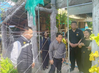 ลงพื้นที่ติดตามผลการดำเนินงานและสนับสนุนการดำเนินงานโครงการขยายผลเกษตรเพื่ออาหารกลางวัน ... พารามิเตอร์รูปภาพ 6