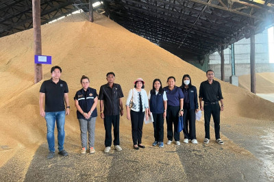 ร่วมสุ่มตรวจปริมาณข้าวเปลือกและข้าวสาร ... พารามิเตอร์รูปภาพ 1