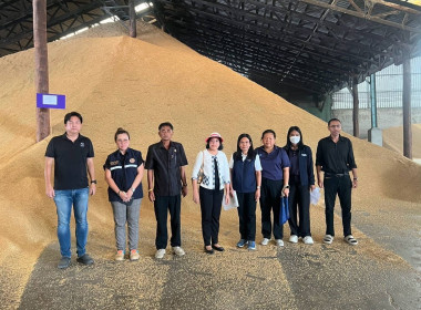 ร่วมสุ่มตรวจปริมาณข้าวเปลือกและข้าวสาร ... พารามิเตอร์รูปภาพ 1