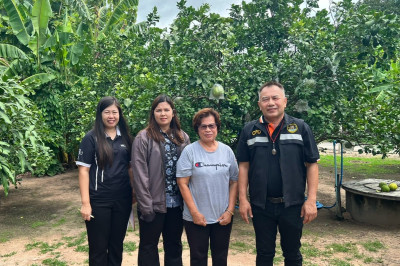 ลงพื้นที่ตรวจเยี่ยมแนะนำส่งเสริมสมาชิกของสหกรณ์การเกษตรดอนเจดีย์ จำกัด ... พารามิเตอร์รูปภาพ 1