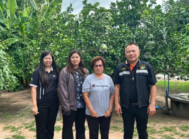 ลงพื้นที่ตรวจเยี่ยมแนะนำส่งเสริมสมาชิกของสหกรณ์การเกษตรดอนเจดีย์ จำกัด ... พารามิเตอร์รูปภาพ 1