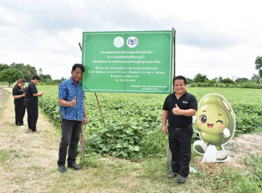 ร่วมพิธีเปิดงาน ถั่วเขียวพันธุ์ดี วิถียั่งยืน : ... พารามิเตอร์รูปภาพ 13