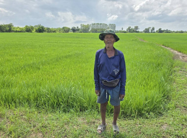 ตรวจเยี่ยมแนะนำส่งเสริมสหกรณ์การเกษตรสามชุก จำกัด พารามิเตอร์รูปภาพ 3