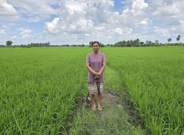 ตรวจเยี่ยมแนะนำส่งเสริมสหกรณ์การเกษตรสามชุก จำกัด พารามิเตอร์รูปภาพ 4