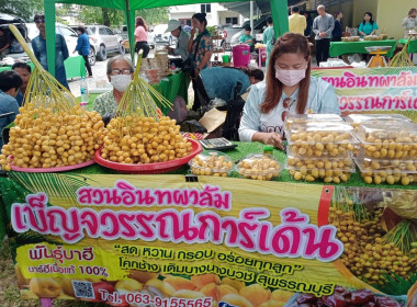 เยี่ยมชม “ตลาดเกษตรกรในสวน @ สุพรรณบุรี” พารามิเตอร์รูปภาพ 7